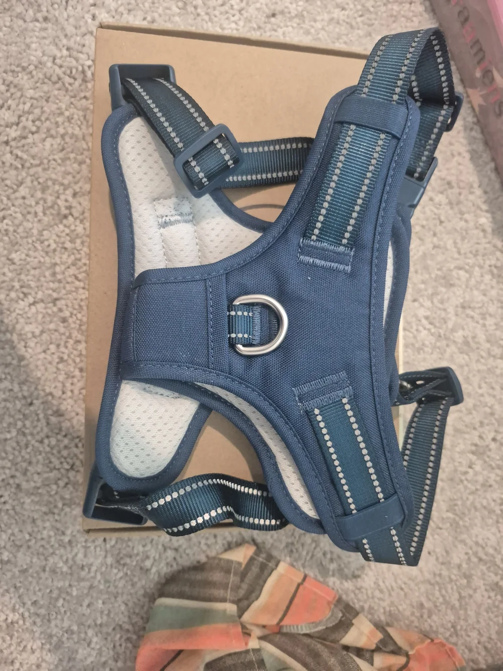 Blue Adjustable Harness Vest Size L- No Brand